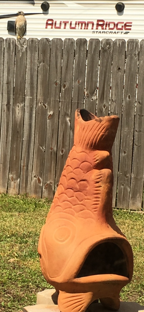 protector and chiminea